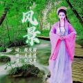 刘晓伟 - 风景