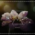 Nari、Stefano Pain - Forty House