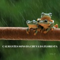 #Calmante、Relaxamento Sons da Natureza Ruído Branco Musicas Clube、Tormenta Jamaicana - Sunset Molhado