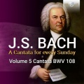 Netherlands Bach Collegium、Holland Boys Choir、Pieter Jan Leusink - IV. Coro. Wenn aber Jener