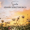 Johann Sebastian Bach - Sonata For Flute & Harpsichord In A