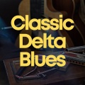 Muddy Waters - She Moves Me