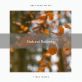 Sounds of Nature Relaxation - Experience Hard Sleep with Nature Noises