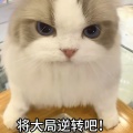 Xun - 开！将大局逆转吧 (手机掉缝里了)