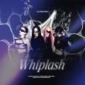 魔法老头欣欣子、栀虞Yz、奈安Ainn - Whiplash