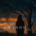 李生梦 - 祈祷 (惩罚我这半生不快乐)