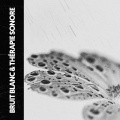Dog Relaxation、Binaural Beats Sleep Aid、Bruit Blanc - Berceuse goutte de pluie à la dérive