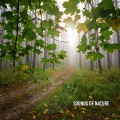 Meditation Music - Bellow Surface