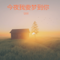 安小朵 - 今夜我要梦到你