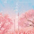 赵薇薇 - 花开又花谢花满天