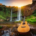 Romantica De La Guitarra、Lluvia de Berlín、El colectivo de la selva tropical - Alegría Acústica Ilimitada