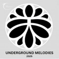 Fernando Olaya、Farbenklang - Chronologie