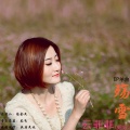 云菲菲 - 殇雪