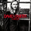 David Guetta、Emeli Sandé - What I Did For Love