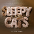 Pet Music Therapy - Hissing Dreaming