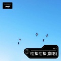 i6k2 - 哇扣哇扣 (i6k2 remix)