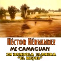Hector Hernandez - Cajón de Arauca Apureño