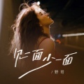野哥 - 见一面少一面