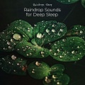 Nature Recordings - Pelting Rain