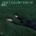 沐凡 - 你来了又走心满了又空