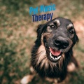 Pet Music Therapy、Pets Love Music - Cozy Nap