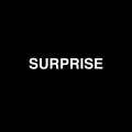 HH - SURPRISE (Explicit)