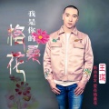 王琪 - 我是你的格桑花