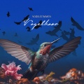 Vogelstimmen - Songs Surrounding
