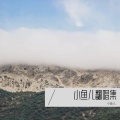 小鱼儿 - 下完这场雨