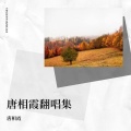 唐相霞 - 月亮代表我的心