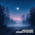Musique Calme et Relaxation、Relaxation Sommeil et Détente、Musique de Relaxation - Sérénité pour Dormir et Méditer