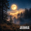 Musique Calme et Relaxation、Relaxation Sommeil et Détente、Musique de Relaxation - Mélodies de Relaxation pour Dormir
