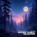 Musique Calme et Relaxation、Relaxation Sommeil et Détente、Musique de Relaxation - Pluie Nocturne pour Dormir Tranquillement