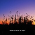 Dylan Brown - thirteen