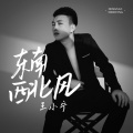 王小宁 - 东南西北风