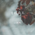 小阿枫 - 曾经最美