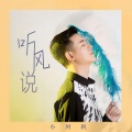 小阿枫 - 听风说