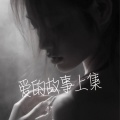 DJ阿崽 - 爱的故事上集