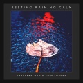 Thunderstorm & Rain Sounds - Stray Musician