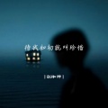 DJ珈神 - 柏林之声