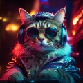 Chill Hop Lofi Study Beats、Sleepy Cat、Cat Music Therapy - Beats Whisper Cat Calm