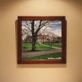 Joshua Smith - Springtime