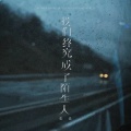 张良 - 我们终究成了陌生人
