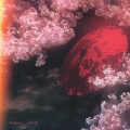 Myuk - Sakura