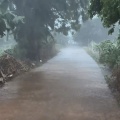 LBI - 雨下一整晚 (雨声氛围感)