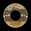 Truesounds - Lionsmane Riddim