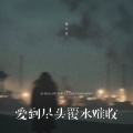 杨不乖 - 爱到尽头覆水难收