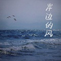 林童学 - 岸边的风