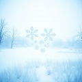 Allenmoo - Not snow,But Its U
