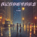 DJ诗意 - 我记得你眼里的依恋 (DJ诗意 remix)